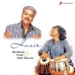 Hazir - Dr. N. Rajam Song Download